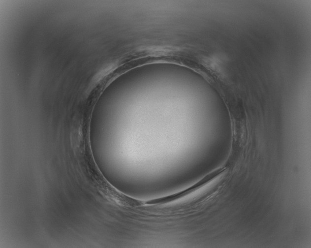 X0000051871261200506241338