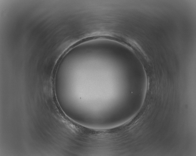 X0000051871268200506241338