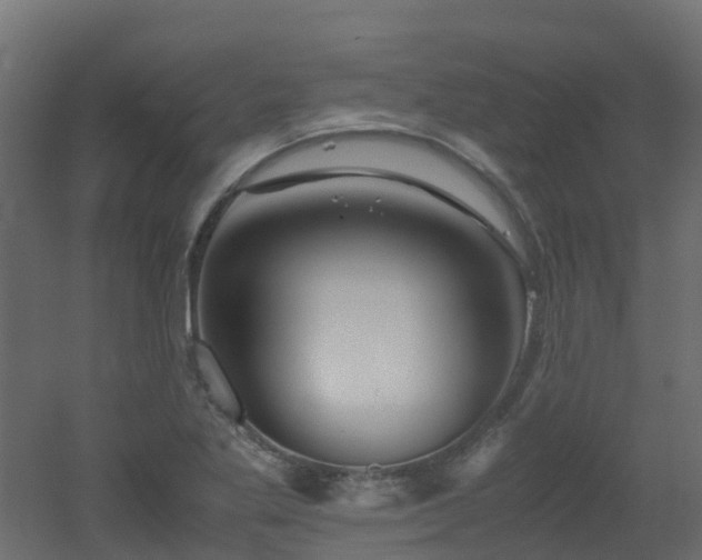 X0000051871269200506241338