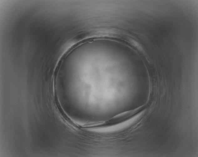 X0000051871275200506241338