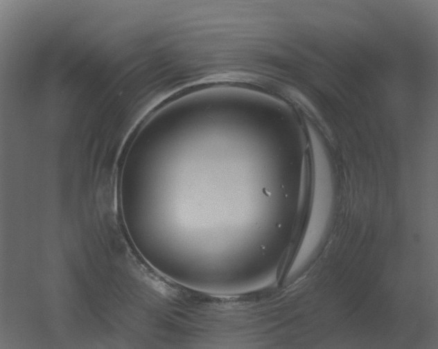 X0000051871276200506241338