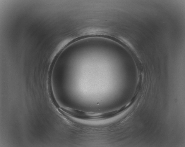 X0000051871277200506241338