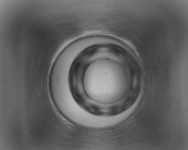 X0000051871279200506241338