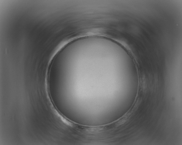 X0000051871294200506241337