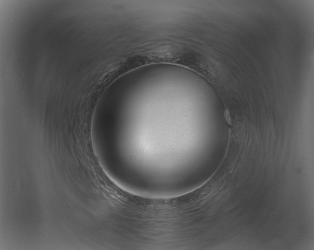 X0000051871297200506241336