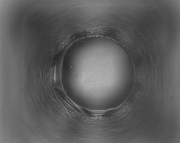 X0000051871298200506241336