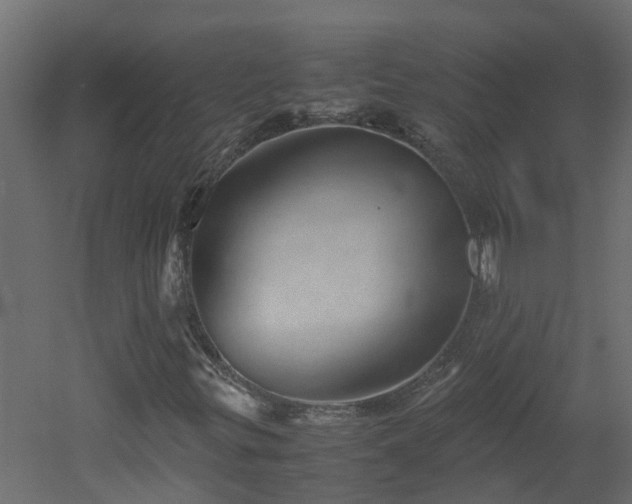 X0000051871299200506241336