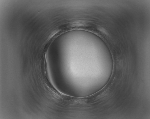 X0000051871305200506241337