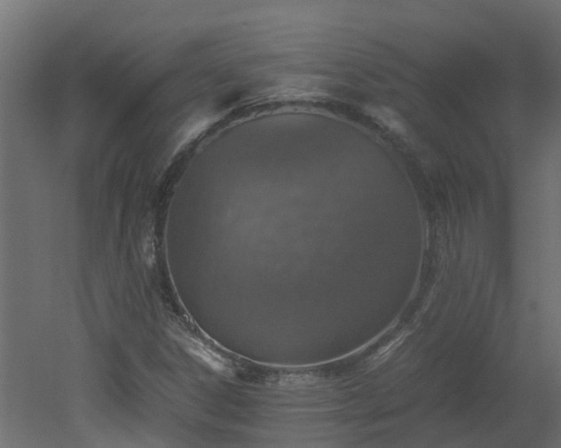 X0000051871306200506241337