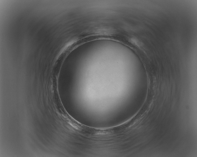 X0000051871307200506241337