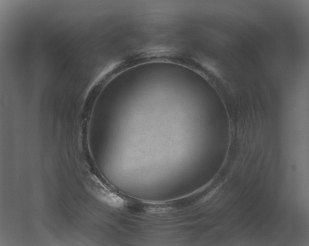 X0000051871309200506241337