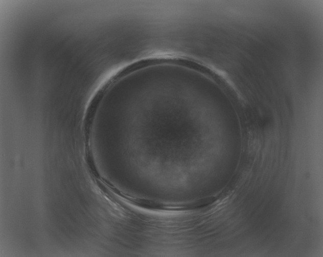 X0000051871319200506241337