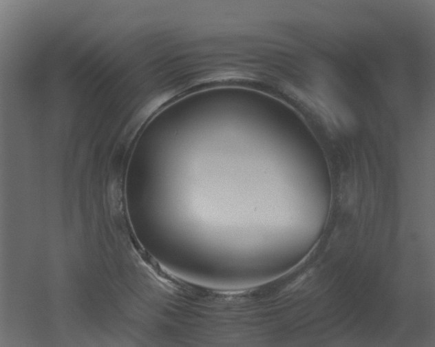 X0000051871321200506241337