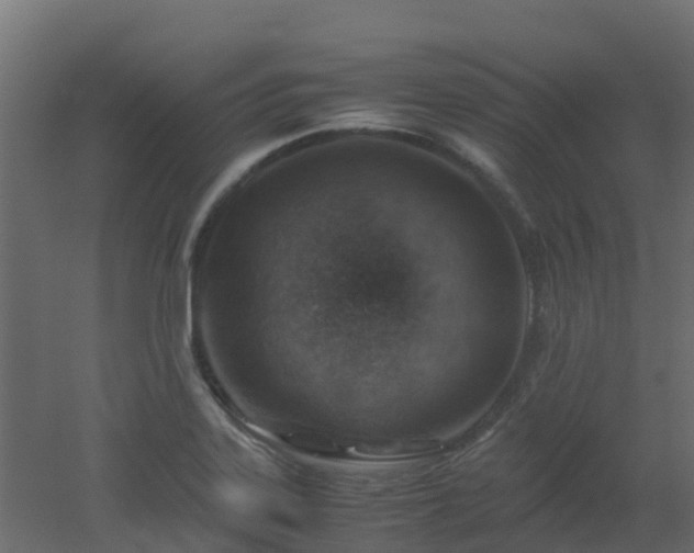 X0000051871323200506241337