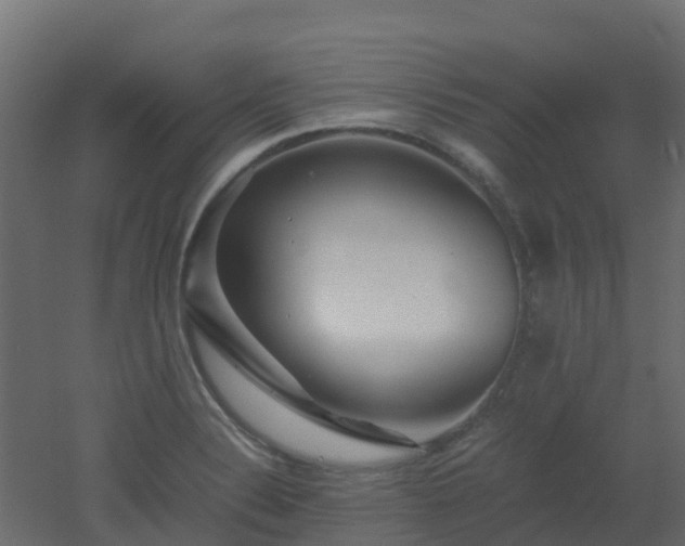 X0000051871324200506241337