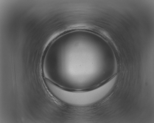X0000051871328200506241337