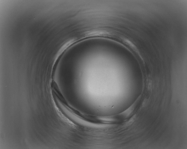 X0000051871330200506241337