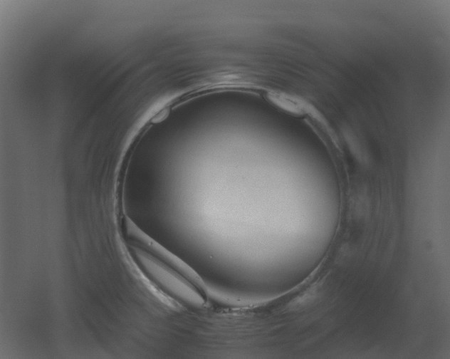 X0000051871333200506241337