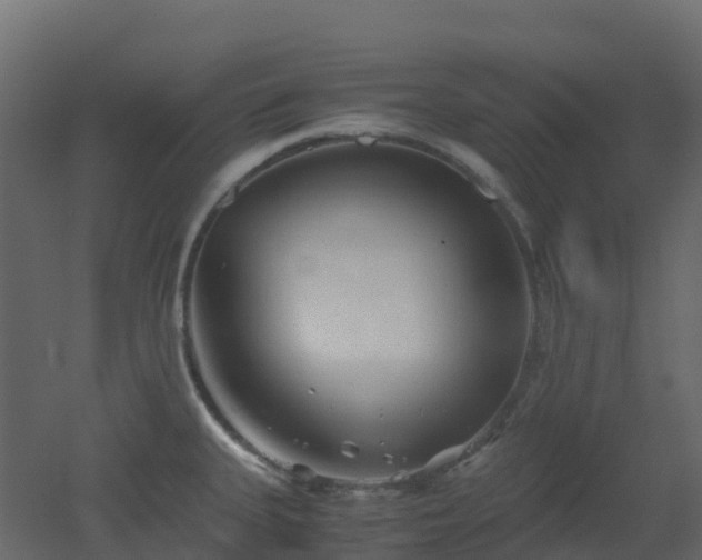 X0000051871335200506241337