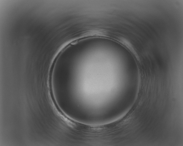X0000051871339200506241337