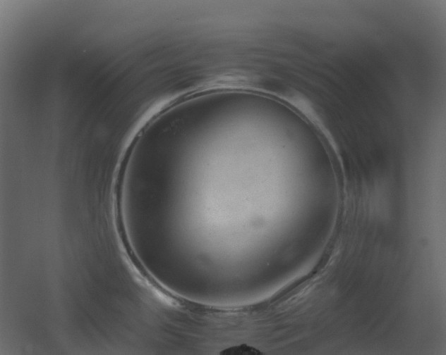 X0000051871341200506241337