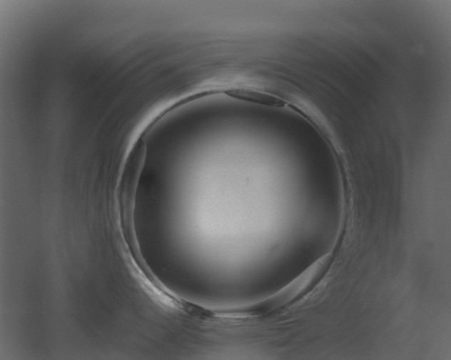 X0000051871344200506241337