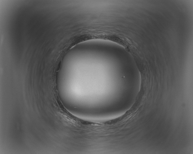 X0000051871345200506241336