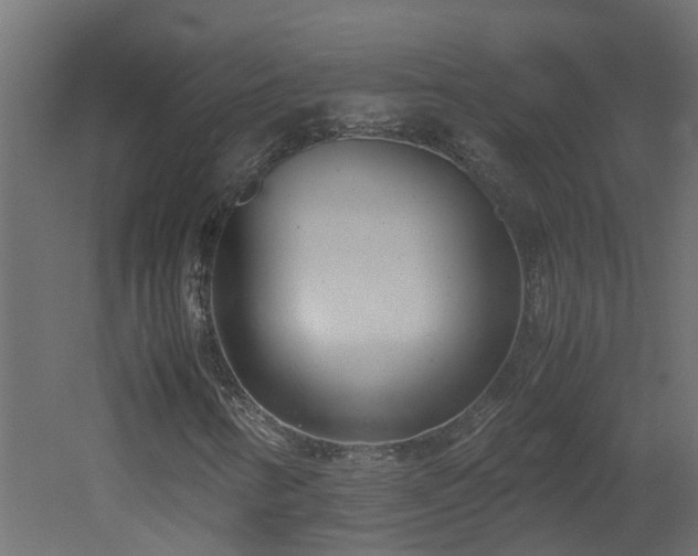 X0000051871346200506241336