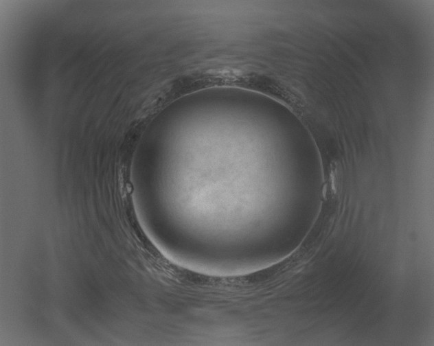 X0000051871347200506241336