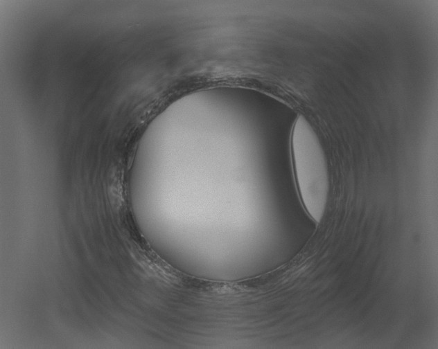 X0000051871348200506241336