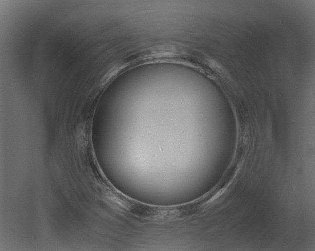 X0000051871353200506241336