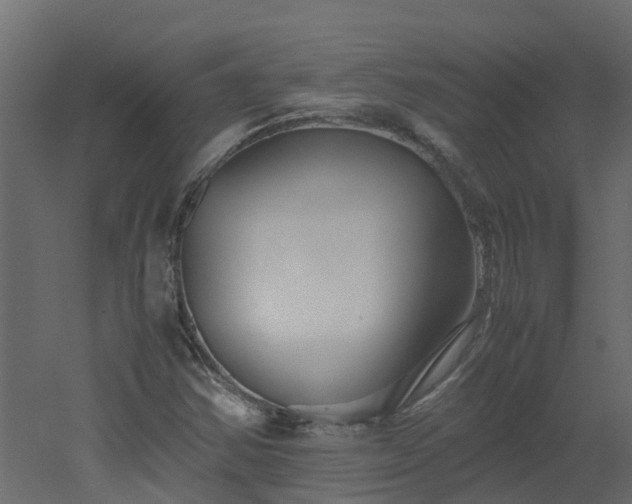 X0000051871354200506241336