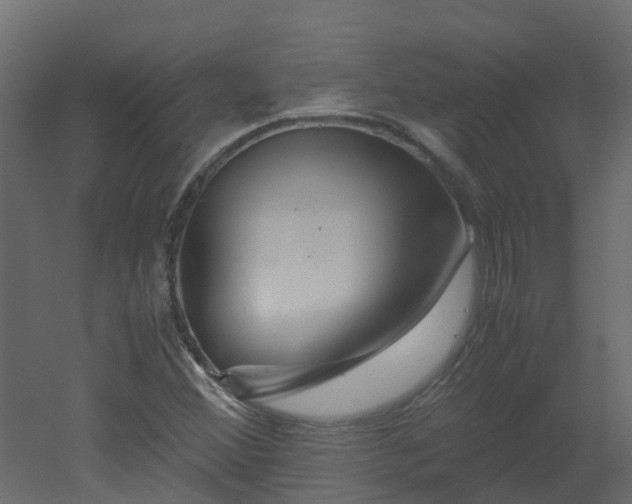 X0000051871356200506241336