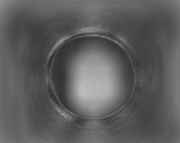 X0000051871358200506241336