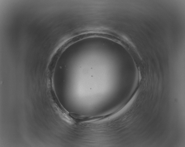 X0000051871360200506241336