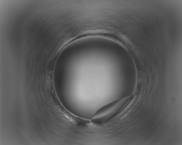 X0000051871361200506241336