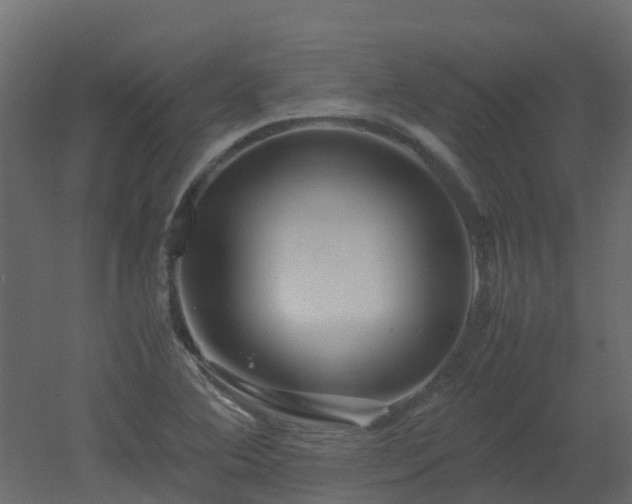 X0000051871364200506241336