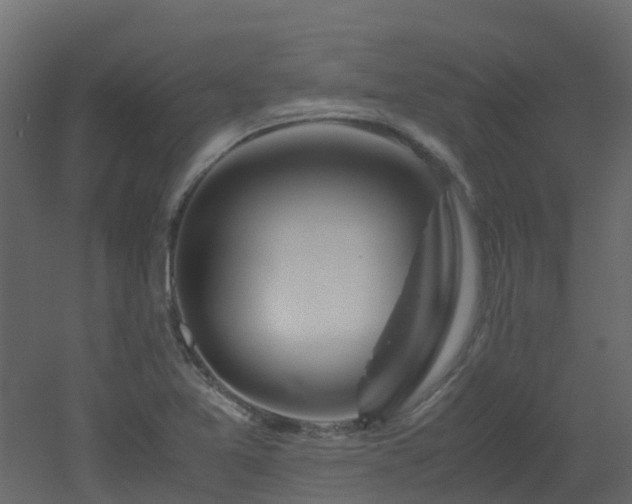 X0000051871365200506241336