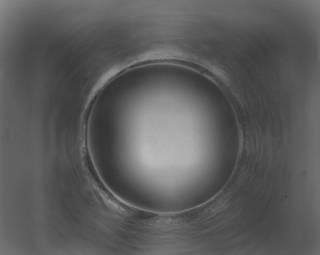 X0000051871366200506241336