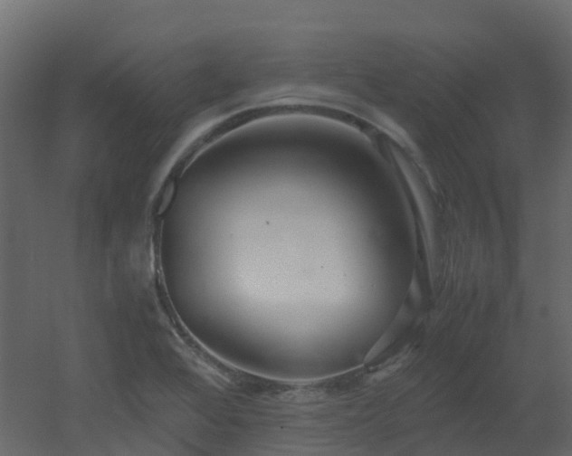 X0000051871368200506241336