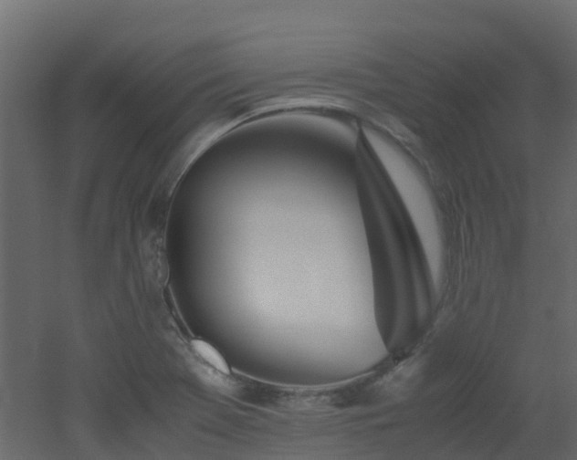 X0000051871369200506241336