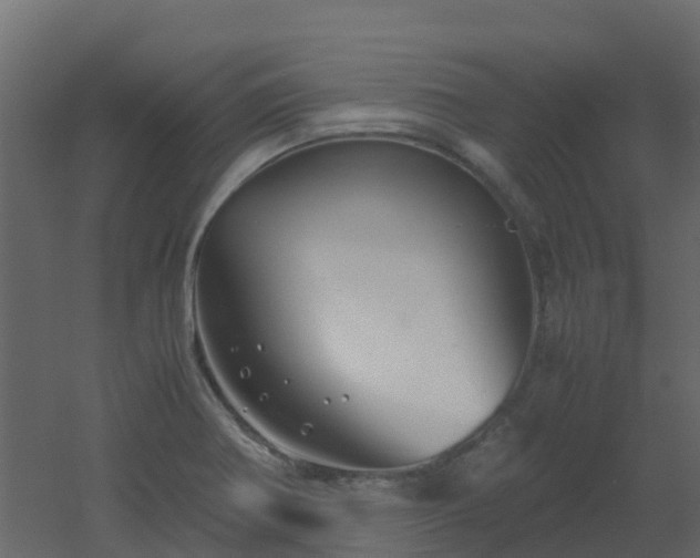 X0000051871370200506241336