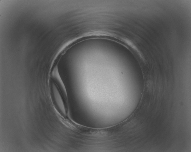 X0000051871372200506241336