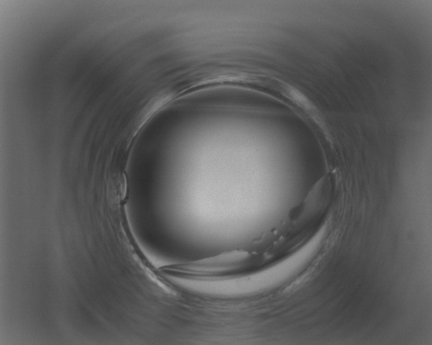 X0000051871377200506241336
