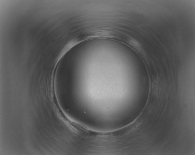 X0000051871378200506241336