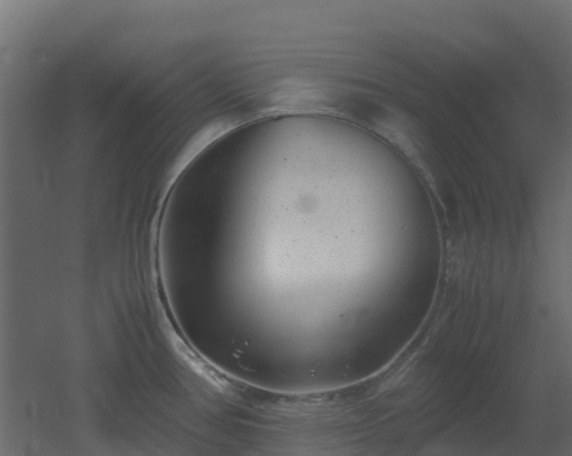 X0000051871386200506241336
