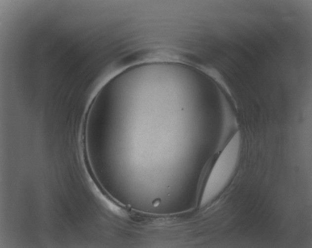 X0000051871387200506241336