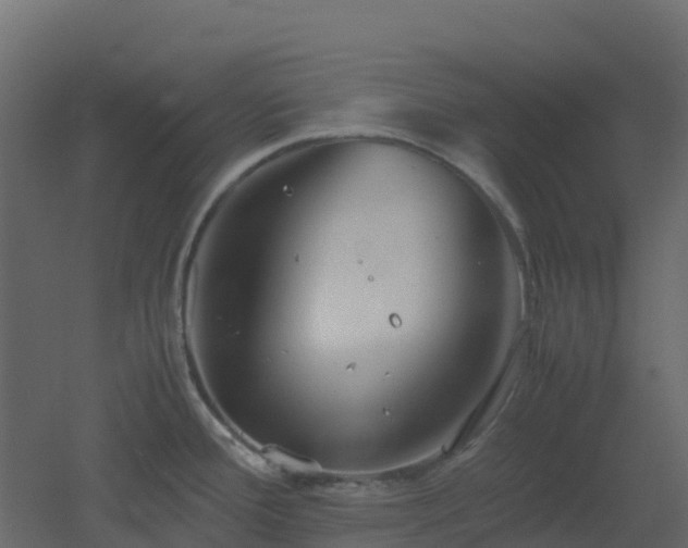 X0000051871388200506241336