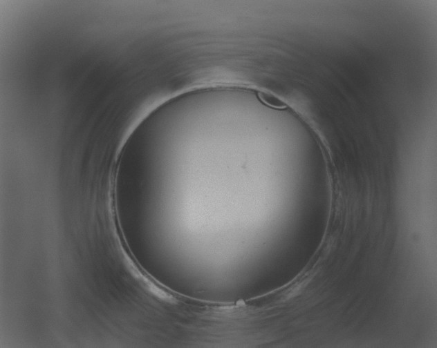 X0000051871390200506241336