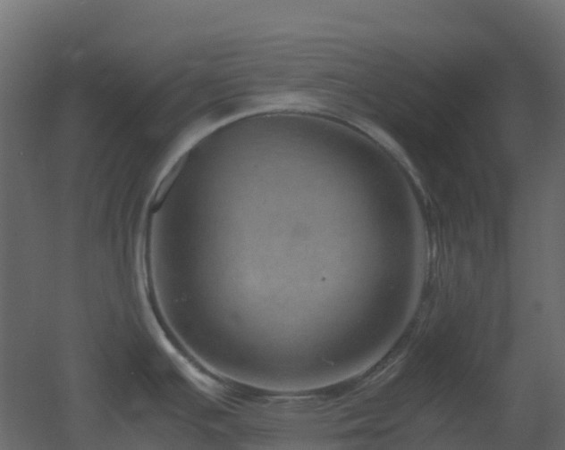 X0000051871391200506241336